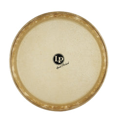 Lp 11 Rawhide Quinto Head