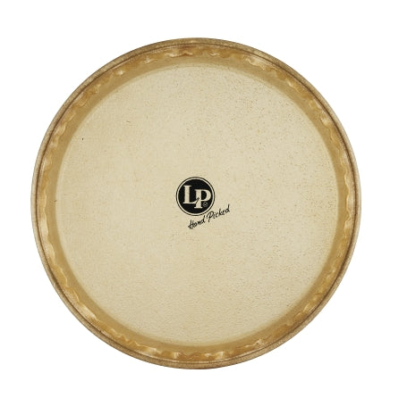 Lp 11 Rawhide Quinto Head