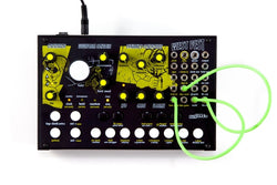 West Pest Desktop Modular Analog Synthesizer - – A Pastoral