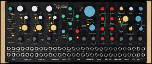 Taiga Paraphonic Modular Synthesizer