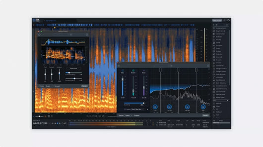 RX 11 Advanced: Crossgrade From Any Paid iZotope Product